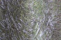 Mead fibreglass roof work